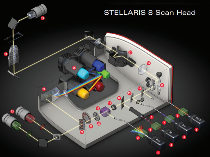 STELLARIS 8 掃描頭