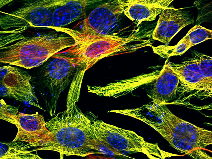 光子學(xué)如何助力生命科學(xué)的精準(zhǔn)應(yīng)用